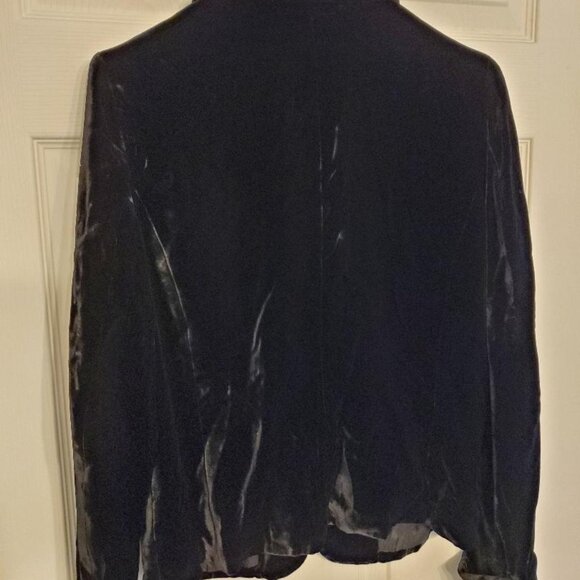 Velvet Blazer - Picture 4 of 4